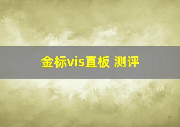 金标vis直板 测评